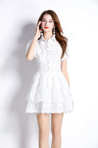 White Embroidered Puff Sleeve French Dress-2